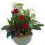 Mothers Day Flowers Ashebor... - Flower Delivery in Asheboro, NC