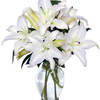 Get Flowers Delivered Omaha NE - Flower Delivery in Omaha, NE