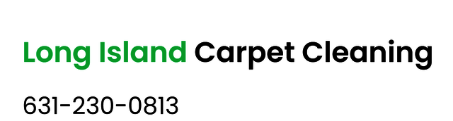 zDrrSAR Long Island Carpet Cleaning