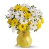 Mothers Day Flowers Dollard... - Flowers in Dollard-Des Orme...