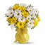 Mothers Day Flowers Dollard... - Flowers in Dollard-Des Ormeaux, QC