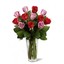 Next Day Delivery Flowers D... - Flowers in Dollard-Des Ormeaux, QC