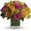 Funeral Flowers Salt Lake C... - Flower Delivery in Salt Lake City, UT