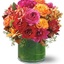 Same Day Flower Delivery Sa... - Flower Delivery in Salt Lake City, UT