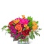 Same Day Flower Delivery Mo... - Flower Delivery in Moline, IL