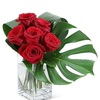 Flower Delivery in Moline IL - Flower Delivery in Moline, IL