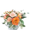 Flower Shop in Moline IL - Flower Delivery in Moline, IL