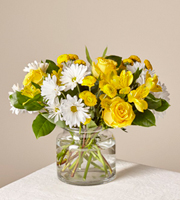 Fresh Flower Delivery Columbus IN Flower Delivery in Columbus, IN