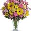 Florist in Port Chester NY - Florist in Port Chester, NY