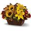 Next Day Delivery Flowers P... - Florist in Port Chester, NY