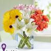 Funeral Flowers Metuchen NJ - Florist in Metuchen, NJ