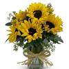 Fresh Flower Delivery Misso... - Flower Delivery in Missoula...