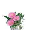 Sympathy Flowers Johnstown NY - Flower Delivery in Johnstow...