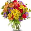 Flower Shop Pickering ON - Florist in Pickering, ON