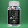 24504707 web1 M1-ISJ-202103... - Green Lobster CBD Gummies R...