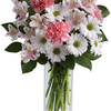 Buy Flowers North Miami FL - Florist in North Miami, FL