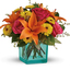 Flower Delivery in North Mi... - Florist in North Miami, FL