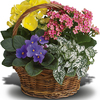 Get Flowers Delivered North... - Florist in North Miami, FL