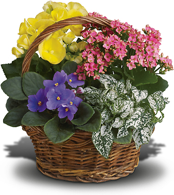 Get Flowers Delivered North Miami FL Florist in North Miami, FL