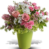Next Day Delivery Flowers N... - Florist in North Miami, FL