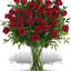 Order Flowers North Miami FL - Florist in North Miami, FL