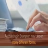 Accounting services Brampto... - Sanjay Verma Pro Corp's Video