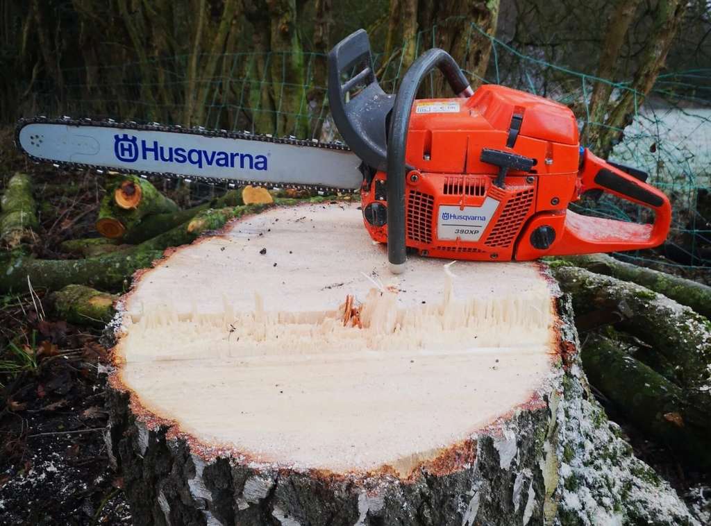 Tree Surgeon Picture Box