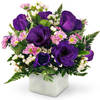 Florist Falcon Heights MN - Florist in Falcon Heights