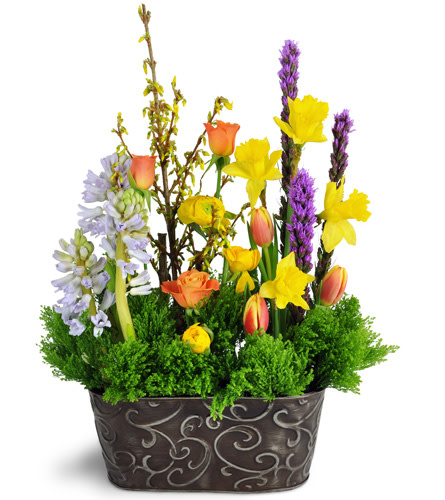 Order Flowers Falcon Heights MN Florist in Falcon Heights