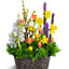Order Flowers Falcon Height... - Florist in Falcon Heights