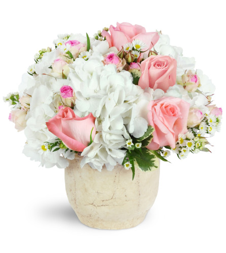 Same Day Flower Delivery Falcon Heights MN Florist in Falcon Heights