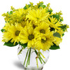 Send Flowers Falcon Heights MN - Florist in Falcon Heights