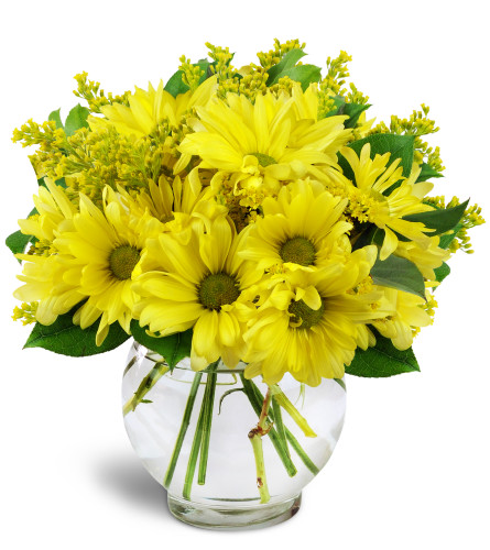 Send Flowers Falcon Heights MN Florist in Falcon Heights