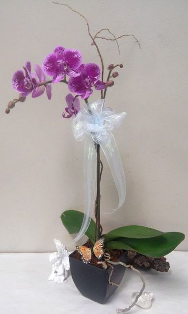 Flower Delivery in Slidell LA Florist in Slidell