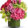 Same Day Flower Delivery Oa... - Flower Delivery in Oakville...