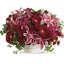 Buy Flowers Oakville ON - Flower Delivery in Oakville, ON