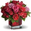 Florist Oakville ON - Flower Delivery in Oakville...