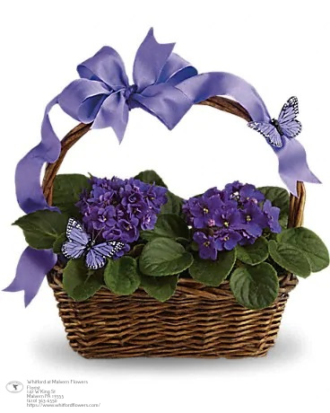 Same Day Flower Delivery Malvern PA Flower Delivery in Malvern, PA