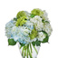 Get Flowers Delivered Lagun... - Flower Delivery in Laguna Beach, CA