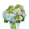 Flower Bouquet Delivery Dan... - Flower Delivery in Dana Poi...