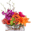 Next Day Delivery Flowers D... - Flower Delivery in Dana Poi...