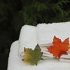 towels-with-leaves-cropped - Wakefield Wood Tubs