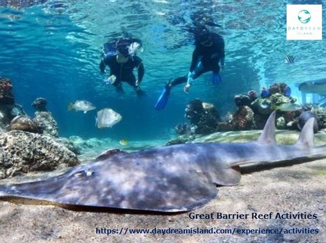 Great Barrier Reef Activities Daydream Island