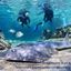 Great Barrier Reef Activities - Daydream Island