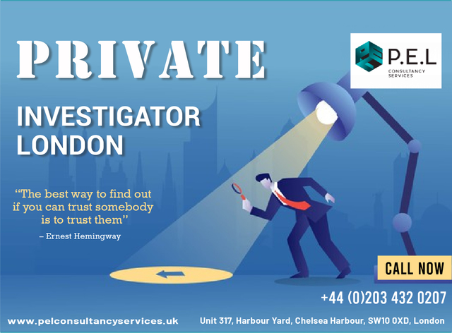 Private Investigator London Picture Box