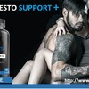 Testo Support Plus