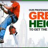 NYC Tree Trimming & Removal... - Picture Box
