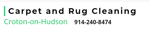 Logo Rug & Carpet Cleaning Service Croton-on-Hudson