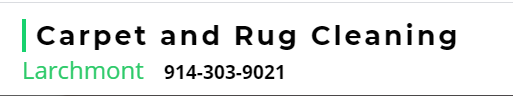 logo Rug & Carpet Cleaning Service Larchmont