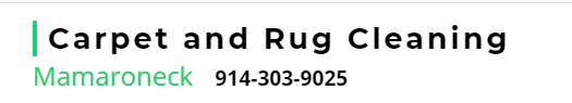 logo Rug & Carpet Cleaning Service Mamaroneck